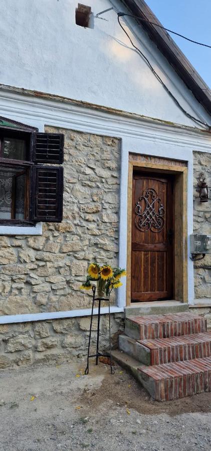 Sokolar Casageo Cheile Nerei 빌라 외부 사진